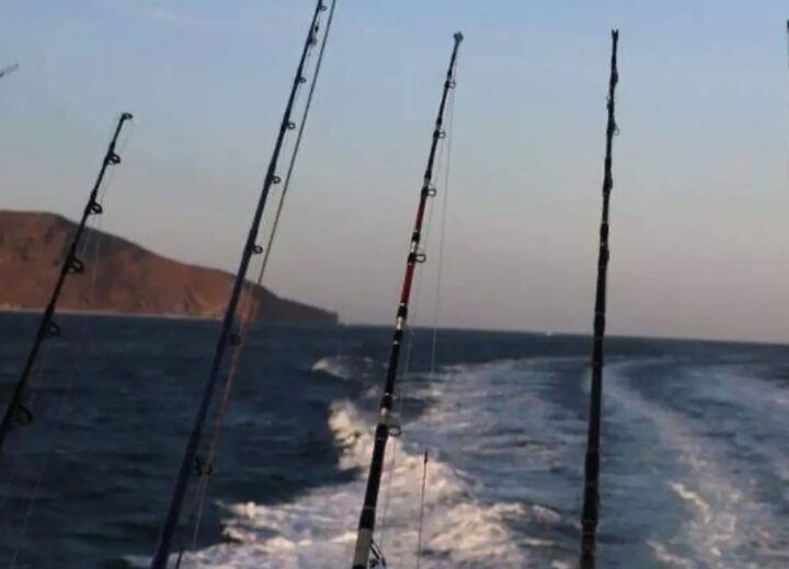 Cañas de pesca deportiva al amanecer en el Mar de Cortés