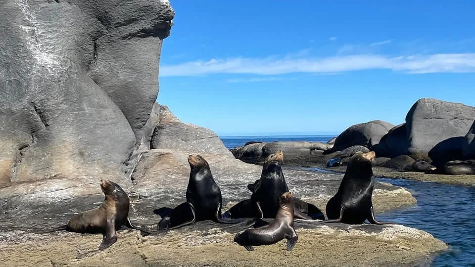 Loreto islands