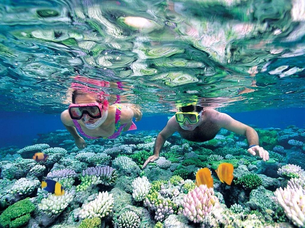 Snorkeling and diving